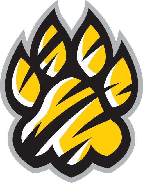 Towson Tigers 2004-Pres Alternate Logo v3 iron on transfers for fabric